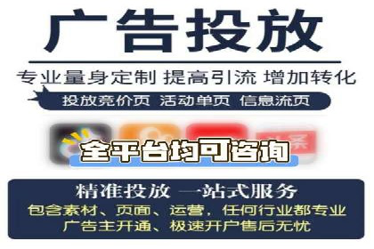 SEM主管实战：数据分析与策略调整
